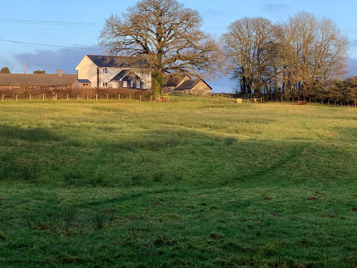 Villa Maen Llwyd à Llanyre Extérieur photo